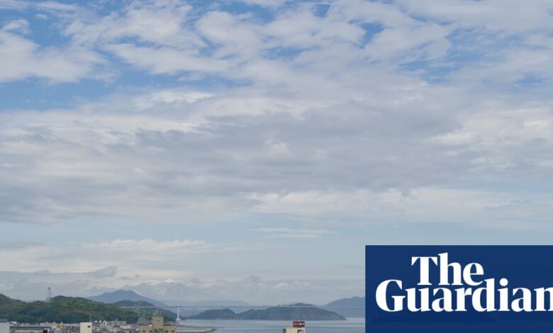 Покушај партнерске афричке земље са јапанским градовима окидачи Ксенофобична повратна кости | Јапан