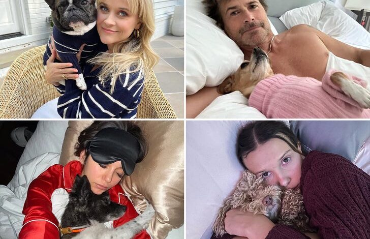 Целебс гутљај паса за међународног дана паса … Руфф Лифе!