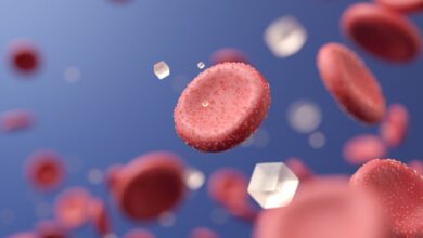 Инзулин без игле? Научници изуме гел који испоручује инсулин кроз кожу у студијама на животињама