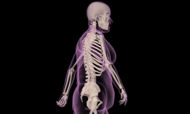 Како би нови начин размишљања о мастима могао да промени ваше здравље Како би нови начин размишљања о мастима могао да промени ваше здравље