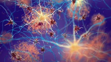 Научници откривају мождане прекидаче који чисте Алцхајмерове плакове Научници откривају мождане прекидаче који чисте Алцхајмерове плакове