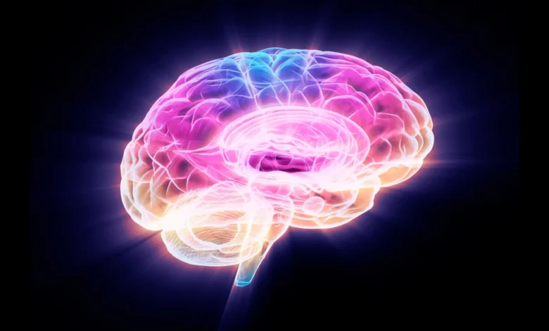 Научници откривају протеин који подмлађује старе мождане ћелије