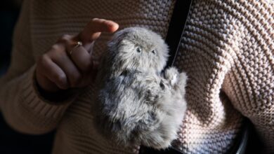 Усамљено обећање слатких робота