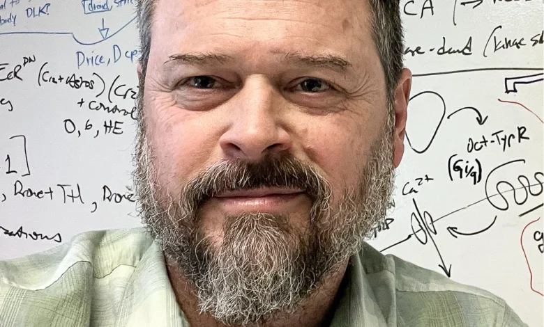 Када се мислило да подржавају неуроне, испоставило се да су астроцити главни