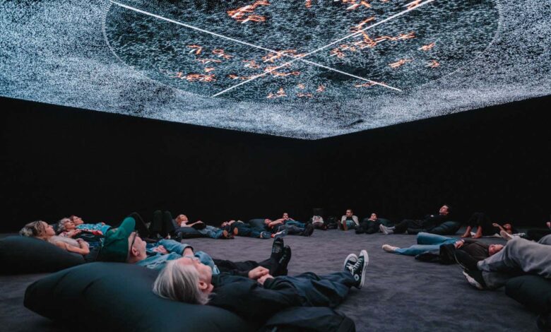 Нев Сциентист препоручује нови рад пионирског уметника Риојија Икеде