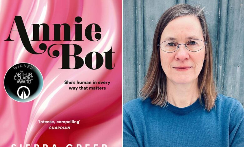 Наша пресуда Ени Бот: Овај роман о секс роботу поделио је мишљења