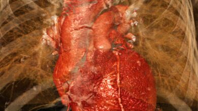 Преслушавање мозга и имунитета погоршава оштећење срчаног удара