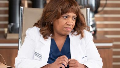 ‘Греи’с Анатоми’ обуставља производњу због протеста против ИЦЕ широм земље