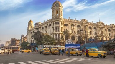 Нипах вирус: Шта путници треба да знају Нипах вирус: Шта путници треба да знају