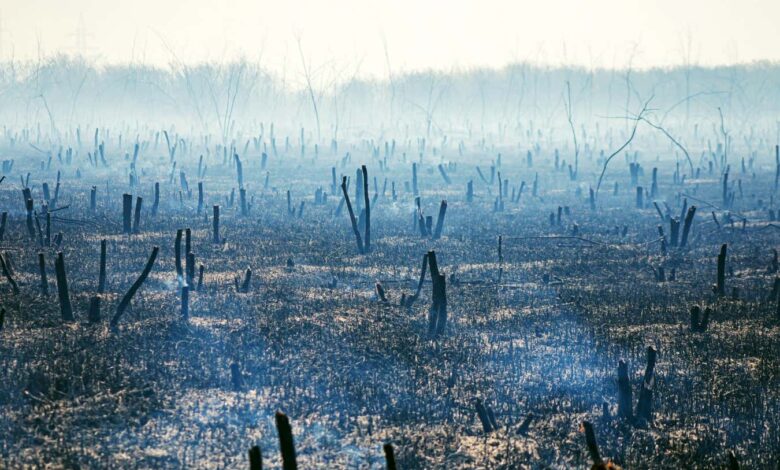 Прочитајте одломак из Јуицеа Тима Винтона Прочитајте одломак из Јуицеа Тима Винтона