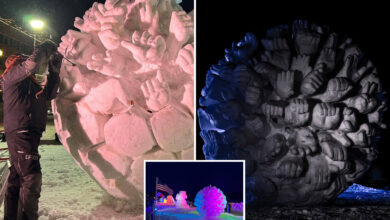 Улазак тима САД дисквалификован је са првенства у вајању од снега након поруке против ИЦЕ-а