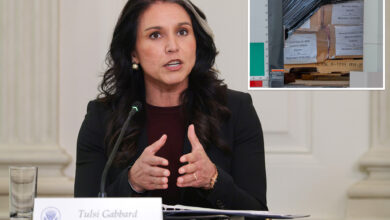 ДНИ Тулси Габард преузима водећу улогу у истрази изборне преваре 2020 ДНИ Тулси Габард преузима водећу улогу у истрази изборне преваре 2020