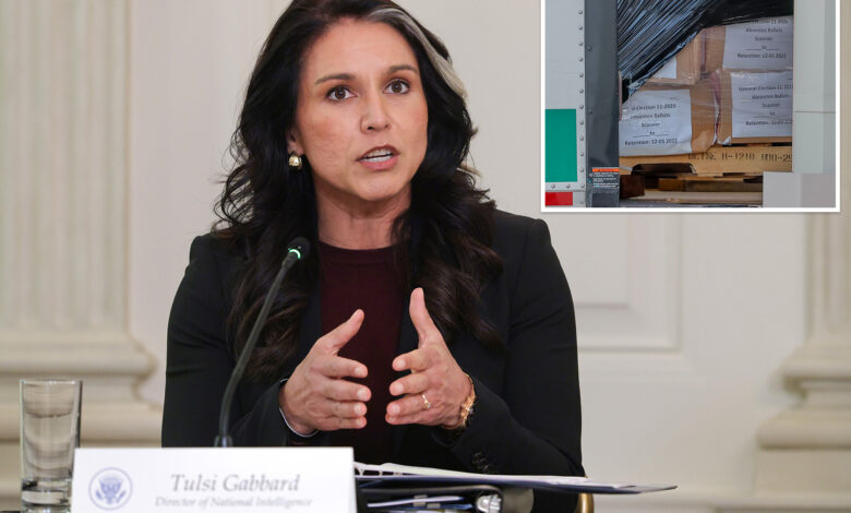 ДНИ Тулси Габард преузима водећу улогу у истрази изборне преваре 2020 ДНИ Тулси Габард преузима водећу улогу у истрази изборне преваре 2020