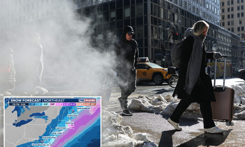 Њујорчани се спремају за опасну хладноћу која се осећа као -10 степени, ризик од промрзлина за само 15 минута