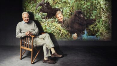 100. рођендан сер Дејвида Атенбороа биће почаствован са три ББЦ емисије