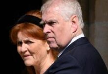 УН категоришу злочине у Епштајновим досијеима као могуће злочине против човечности