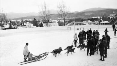 Сви спортови које нећете видети на Зимским олимпијским играма 2026