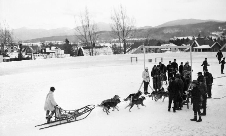 Сви спортови које нећете видети на Зимским олимпијским играма 2026