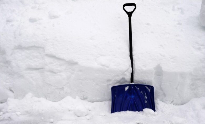 Човек пронађен мртав у снегу испред стамбеног комплекса на Лонг Ајленду Човек пронађен мртав у снегу испред стамбеног комплекса на Лонг Ајленду