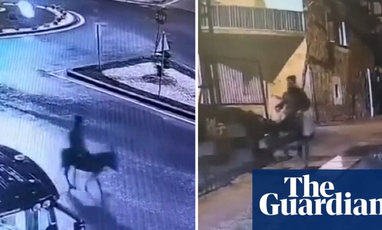 Крадљивац злата побегао са места злочина на магарцу у централној Турској – видео | Животиње