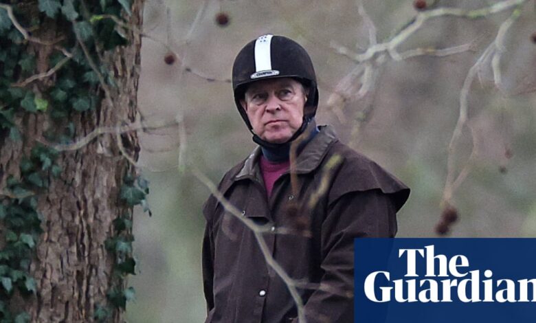 Главни британски тужилац каже ‘нико изнад закона’ док детективи истражују Ендрјуове везе са Епштајном | Ендру Маунтбатен-Виндзор Главни британски тужилац каже ‘нико изнад закона’ док детективи истражују Ендрјуове везе са Епштајном | Ендру Маунтбатен-Виндзор