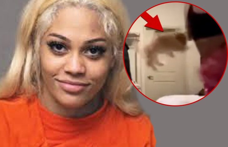 Пас Стреамера Аспена Картиера добија захтеве за усвајање, смештен у хранитељски дом