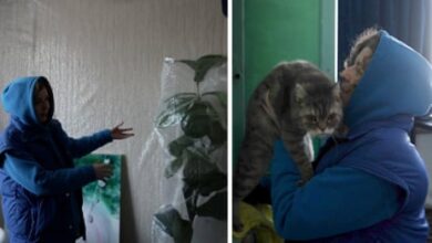 ‘Све је замрзнуто’: горка зима се одуговлачи за становнике Кијева док Русија брише струју | Украјина