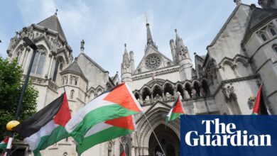 Британска забрана Палестинске акције незаконита, судије високог суда пресуђују | Палестинска акција