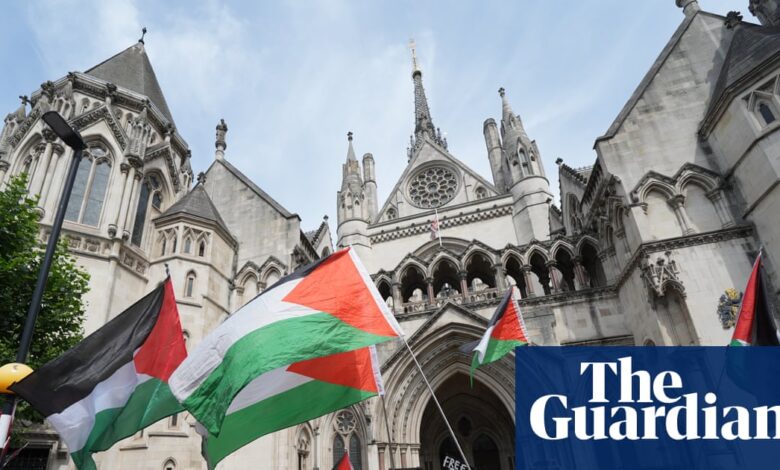 Британска забрана Палестинске акције незаконита, судије високог суда пресуђују | Палестинска акција