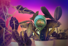 Јефтин сензор за тло спасио је моје крхке собне биљке. Ево како