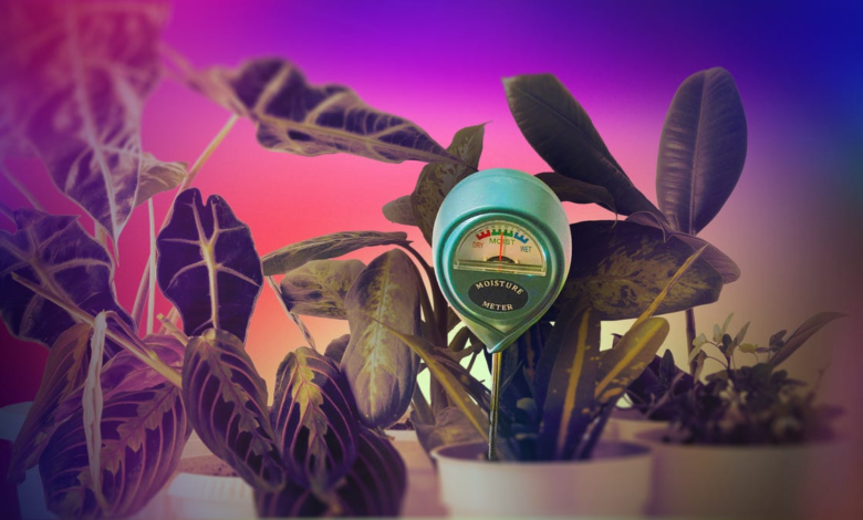 Јефтин сензор за тло спасио је моје крхке собне биљке. Ево како
