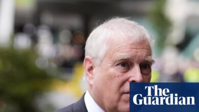 ‘Полиција треба да истражује’: да ли ће Ендру бити испитан због његове везе са Епстајном? | Ендру Маунтбатен-Виндзор