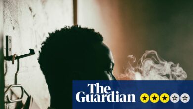 Анимол рецензија – драматичан млади преступници изазивају конвенционални мачизам | Филмови