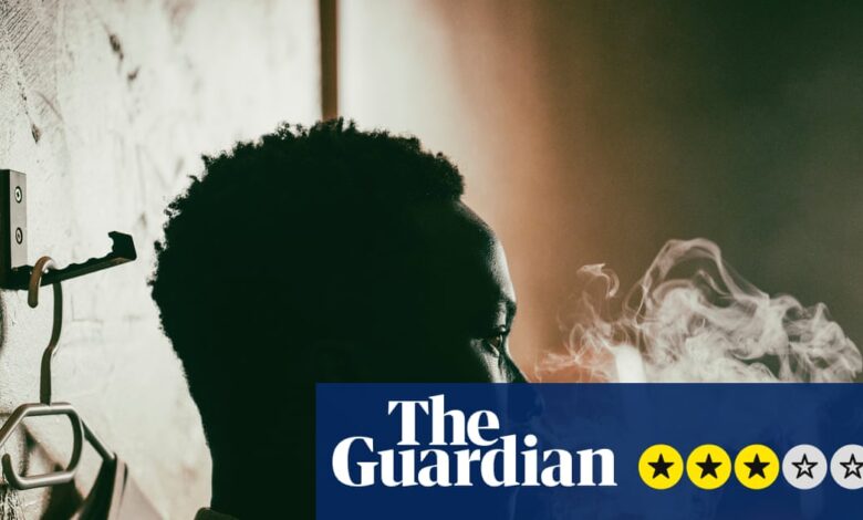 Анимол рецензија – драматичан млади преступници изазивају конвенционални мачизам | Филмови Анимол рецензија – драматичан млади преступници изазивају конвенционални мачизам | Филмови