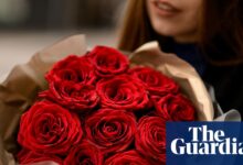 ‘Ништа не говори љубав као хемикалије’: Валентинове руже често прекривене пестицидима, налази тестирања | Валентиново