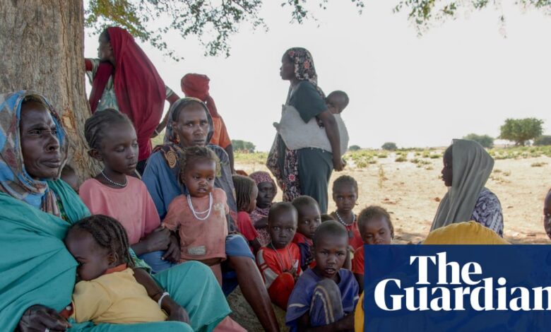 Ретка хроника рата, преживљавања и разарања у Дарфуру – у сликама | Глобални развој