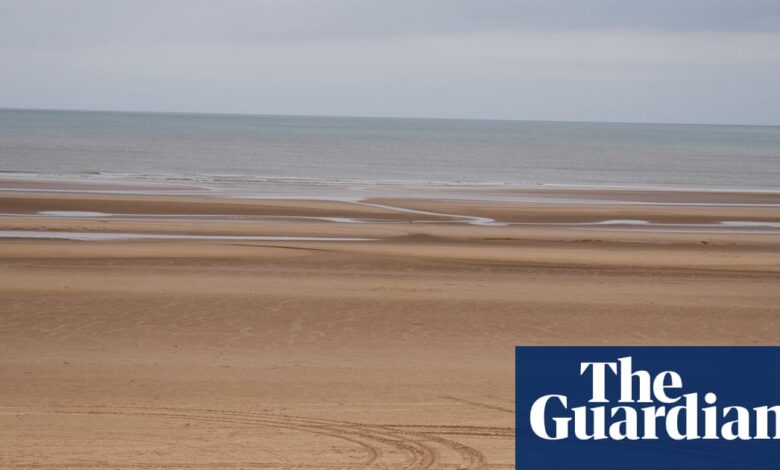 Шмеља до зида: одбачена божићна јелка поново коришћена за заштиту обале Ланкашира | Цоастлинес