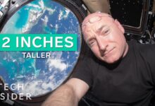 ‘Мозак се стално кретао горе-назад’: Мозак астронаута се физички помера у њиховим главама током свемирског лета