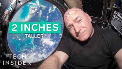 ‘Мозак се стално кретао горе-назад’: Мозак астронаута се физички помера у њиховим главама током свемирског лета