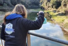 Зашто у Шпанији нема карлинга? „Немогући“ покушаји, траг у тржном центру и пријатељи који покушавају у мочвари