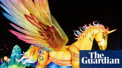 Кина се нада сјајној лунарној новој години јер почиње највећа миграција на свету | Кина