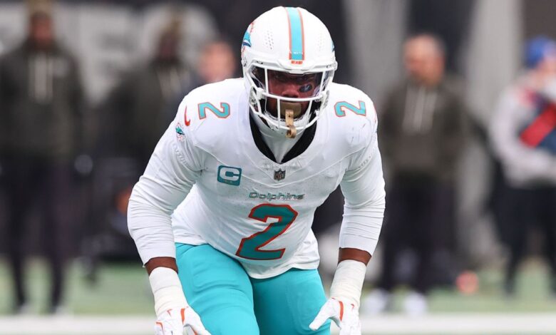 Делфини пуштају пролазника Бредлија Чаба, каже извор