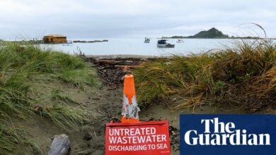 ‘То је катастрофа’: Велингтон бесни док се милиони литара сирове канализације изливају у океан | Нови Зеланд