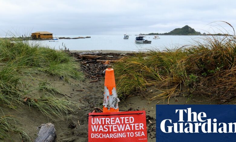 ‘То је катастрофа’: Велингтон бесни док се милиони литара сирове канализације изливају у океан | Нови Зеланд