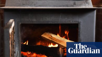 Загађење сагоревањем дрвета доводи до 8.600 превремених смрти у САД годишње, открива студија | Загађење ваздуха