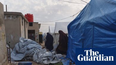 Како се услови у кампу Рој погоршавају, Аустралија је позвала да прихвати грађане заробљене у Сирији | Аустралијска имиграција и азил