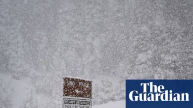 ‘Биле су мајке, жене, пријатељице’: како је скијање постало смртоносно у калифорнијским планинама | Цалифорниа