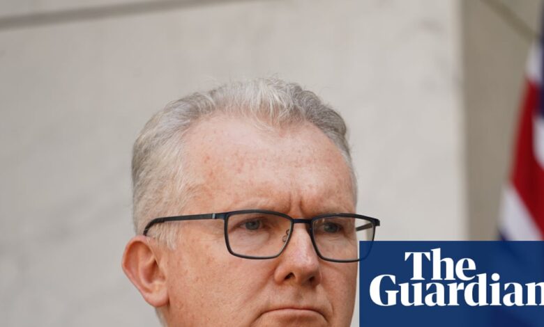 Тони Берк каже да Аустралија има неколико опција да блокира повратак 34 жене и деце из сиријског кампа | Аустралијска безбедност и борба против тероризма