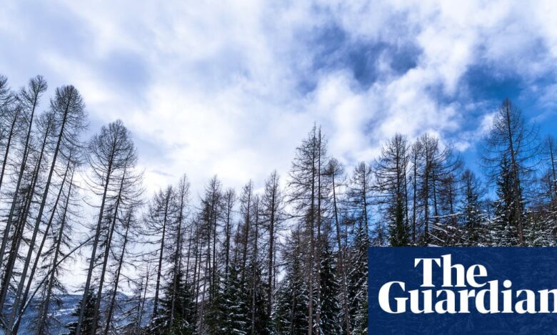 Велика олимпијска лаж: неиспричана прича о огромном утицају Зимских игара на животну средину | Зимске олимпијске игре 2026