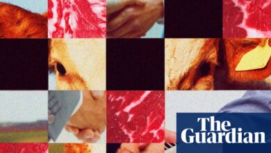 ‘Big Four’ meatpackers under fire as beef prices soar | US news ‘Big Four’ meatpackers under fire as beef prices soar | US news